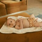 4511889-47e01803db75d1