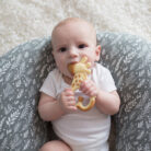 mosaico-ridgees-2022-3